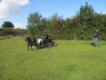 /album/menrit-en-barbecue-29-09-2014/menrit-29-9-12-028-jpg/